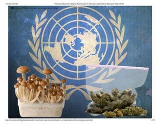 1/21/22, 6:40 AM Psilocybin Mushrooms May Be Rescheduled in UN Drug Treaties Before Marijuana? Wait, What?
https://cannabis.net/blog/news/psilocybin-mushrooms-may-be-rescheduled-in-un-drug-treaties-before-marijuana-wait-what 2/15
 Article List (https://cannabis.net/mycannabis/c-blog)
 
