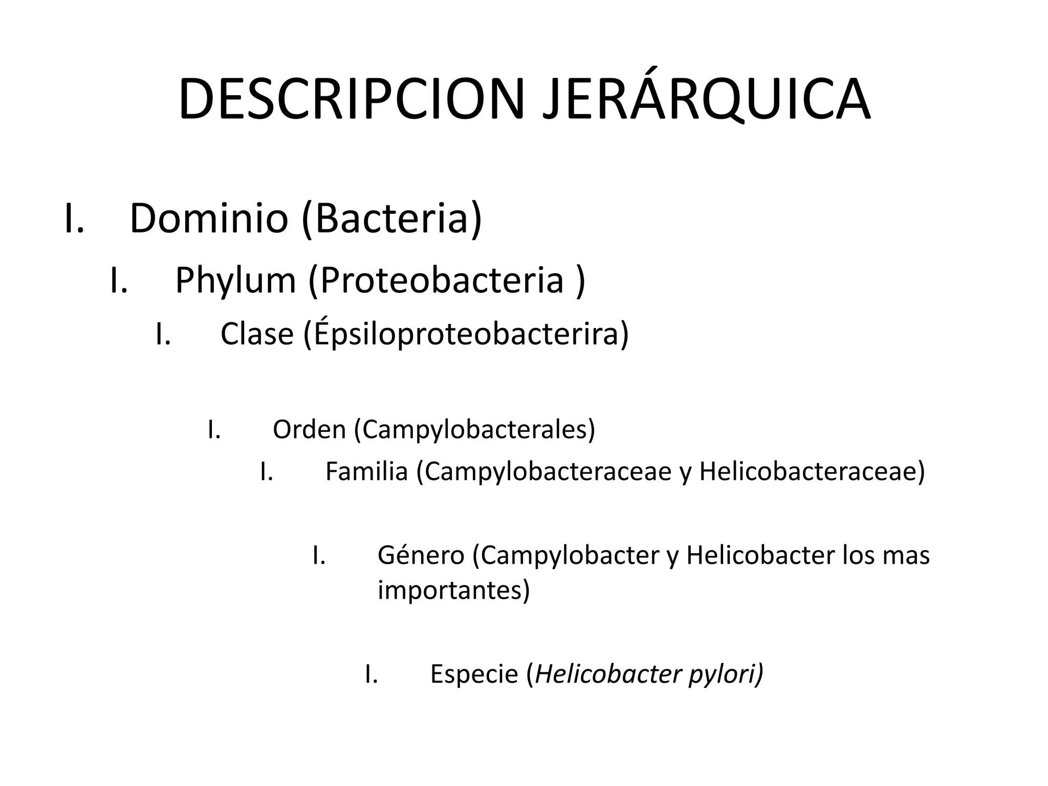 éPsilonproteobacterias