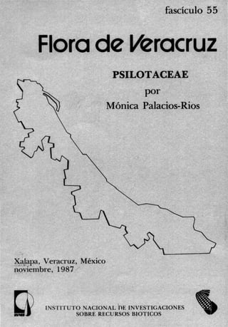 fascículo 55 '
Flora de Veracruz
~~!apa, Veracruz, México
noviembre, 1987
PSILOTACEAE
por
MónÍca Palacios-Ríos
INSTITUTO NACIONAL DE INVESTIGACIONES
SOBRE RECURSOS BIOTICOS
 
