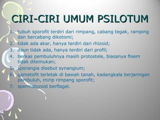 CIRI-CIRI UMUM PSILOTUM
1. tubuh sporofit terdiri dari rimpang, cabang tegak, ramping
dan bercabang dikotomi;
2. tidak ada akar, hanya terdiri dari rhizoid;
3. daun tidak ada, hanya terdiri dari profil;
4. berkas pembuluhnya masih protostele, biasanya floem
tidak ditemukan;
5. sporangia disebut synangium;
6. gametofit terletak di bawah tanah, kadangkala berjaringan
pembuluh, mirip rimpang sporofit;
7. spermatozoid berflagel.

 