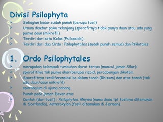 Divisi Psilophyta



Sebagian besar sudah punah (berupa fosil)
Umum disebut paku telanjang (sporofitnya tidak punya daun atau ada yang
punya daun (mikrofil)




Terdiri dari satu Kelas (Psilopsida),
Terdiri dari dua Ordo : Psilophytales (sudah punah semua) dan Psilotales

1. Ordo Psilophytales







merupakan kelompok tumbuhan darat tertua (muncul jaman Silur)
sporofitnya tak punya akar/berupa rizoid, percabangan dikotom
Sporofitnya terdiferensiasi ke dalam tanah (Rhizom) dan atas tanah (tak
ada daun/daun mikrofil)
sporangium di ujung cabang
Punah pada jaman Devon atas
Contoh (dari fosil) : Psilophyton, Rhynia (nama desa tpt fosilnya ditemukan
di Scotlandia), Asteroxylon (fosil ditemukan di Jerman)

 