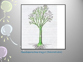 Pseudosporochnus krejjcii (Rekonstruksi)

 