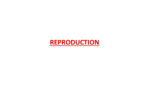 REPRODUCTION
 