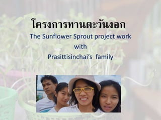 โครงการทานตะวันงอก 
The Sunflower Sprout project work 
with 
Prasittisinchai’s family 
 
