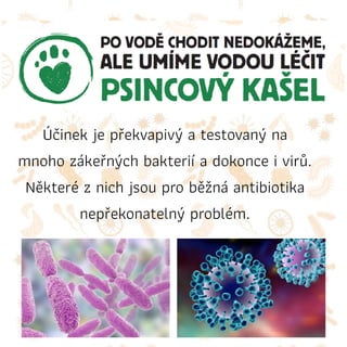 Účinek je překvapivý a testovaný na
mnoho zákeřných bakterií a dokonce i virů.
Některé z nich jsou pro běžná antibiotika
nepřekonatelný problém.
 