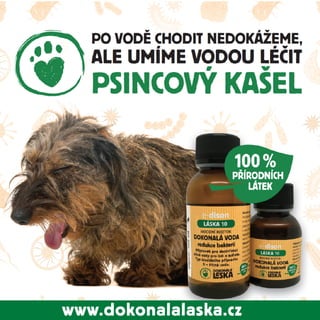 www.dokonalalaska.cz
 