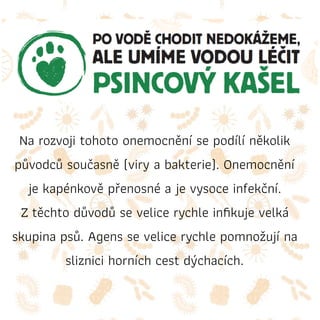 Na rozvoji tohoto onemocnění se podílí několik
původců současně (viry a bakterie). Onemocnění
je kapénkově přenosné a je vysoce infekční.
Ztěchto důvodů se velice rychle inﬁkuje velká
skupina psů. Agens se velice rychle pomnožují na
sliznici horních cest dýchacích.
 