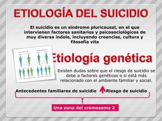 El suicidio es un síndrome pluricausal, en el que
   intervienen factores sanitarios y psicosociológicos de
    muy divers...