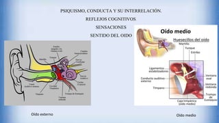 PSIQUISMO, CONDUCTA Y SU INTERRELACIÓN.
REFLEJOS COGNITIVOS.
SENSACIONES
SENTIDO DEL OIDO
Oído externo Oído medio
 