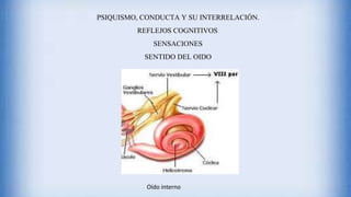 PSIQUISMO, CONDUCTA Y SU INTERRELACIÓN.
REFLEJOS COGNITIVOS.
SENSACIONES
SENTIDO DEL OIDO
Oído interno
 