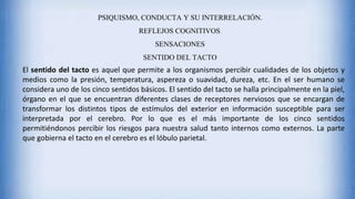 PSIQUISMO, CONDUCTA Y SU INTERRELACIÓN.
REFLEJOS COGNITIVOS.
SENSACIONES
SENTIDO DEL TACTO
El sentido del tacto es aquel que permite a los organismos percibir cualidades de los objetos y
medios como la presión, temperatura, aspereza o suavidad, dureza, etc. En el ser humano se
considera uno de los cinco sentidos básicos. El sentido del tacto se halla principalmente en la piel,
órgano en el que se encuentran diferentes clases de receptores nerviosos que se encargan de
transformar los distintos tipos de estímulos del exterior en información susceptible para ser
interpretada por el cerebro. Por lo que es el más importante de los cinco sentidos
permitiéndonos percibir los riesgos para nuestra salud tanto internos como externos. La parte
que gobierna el tacto en el cerebro es el lóbulo parietal.
 