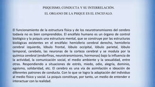 PSIQUISMO, CONDUCTA Y SU INTERRELACIÓN.
EL ORGANO DE LA PSIQUE ES EL ENCEFALO.
El funcionamiento de la estructura física y de los neurotransmisores del cerebro
todavía no es bien comprendidos. El encéfalo humano es un órgano de control
biológico y la psiquis una estructura mental, que se construye por las estructuras
biológicas existentes en el encéfalo: hemisferio cerebral derecho, hemisferio
cerebral izquierdo, lóbulo frontal, lóbulo occipital, lóbulo parietal, lóbulo
temporal, cerebelo, las neuronas de la corteza cerebral y se modula por la
química cerebral (endorfinas, neurotransmisores, hormonas) bajo la influencia de
la actividad, la comunicación social, el medio ambiente y la sexualidad, entre
otras. Respondiendo a situaciones de estrés, miedo, odio, alegría, dominio,
egoísmo, solidaridad, etc. El cerebro es una vía de asimilación e ideación de
diferentes patrones de conducta. Con lo que se logra la adaptación del individuo
al medio físico y social. La psiquis constituye, por tanto, un medio de entender e
interactuar con la realidad.
 