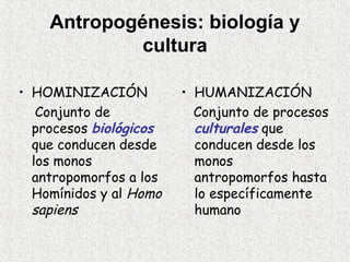 Antropogénesis: biología y
             cultura

• HOMINIZACIÓN          • HUMANIZACIÓN
   Conjunto de            Conjunto...