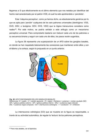 llegamos a S que efectivamente es el último elemento que nos restaba por identificar del
hecho real caracterizado por el patrón VOS, el cual ha sido aprehendido o ‘percibido’.
Esta ‘máquina perceptiva’, como ya hemos dicho, es absolutamente genérica por lo
que es apta para ‘percibir’ cualquiera de los seis patrones universales (dextrógiros: VOS,
SVO, OSV, o levógiros: SOV, OVS, VSO) que la lógica transcursiva considera como
reales40. Por este motivo, se podría señalar a este artilugio como un mecanismo
perceptivo universal. Para comprobarlo bastaría con traducir cada uno de los patrones a
su secuencia binaria y seguir con cada uno de ellos, los pasos recién sugeridos.
La figura 36 representa una superposición de un AFD sobre los ganglios basales,
en donde se han respetado básicamente las conexiones que mantienen entre ellos y con
el tálamo y la corteza, según lo propuesto en un punto anterior.
Fig. 36 AFD FUNCIONANDO EN LOS GANGLIOS BASALES
Referencias: S = sujeto - V = cambio aparente - O = objeto - Estriatum = putamen + núcleo caudado (NC)
GPE = globus pallidus externo - GPI = globus pallidus interno - SNR = sustancia negra reticular
SNC = sustancia negra compacta - CO = interneurona colinérgica - 1 = excitación - 0 = inhibición
La interneurona colinérgica (CO) que se muestra en la figura es responsable, a
través de su actividad automática, de regular la ‘lectura’ de los patrones perceptivos.
101
40 Para más detalles, ver el Apéndice.
 