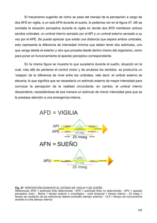 El mecanismo sugerido de cómo se pasa del manejo de la percepción a cargo de
dos AFD en vigilia, a un solo AFN durante el sueño, lo podemos ver en la figura 47. Allí se
constata la situación perceptiva durante la vigilia en donde dos AFD mantienen activos
sendos umbrales: un umbral interno sensado por el API y un umbral externo sensado a su
vez por el APE. Se puede apreciar que existe una distancia que separa ambos umbrales,
esto representa la diferencia de intensidad mínima que deben tener dos estímulos, uno
que venga desde el exterior y otro que proceda desde dentro mismo del organismo, como
para poner en funcionamiento el aparato perceptivo correspondiente.
En la misma figura se muestra lo que sucedería durante el sueño, situación en la
cual, más allá de perderse el control motor y de anularse los sentidos, se produciría un
‘colapso’ de la diferencia de nivel entre los umbrales; vale decir, el umbral externo se
elevaría, lo que significa que se necesitaría un estímulo externo de mayor intensidad para
convocar la percepción de la realidad circundante; en cambio, el umbral interno
descendería, necesitándose de esa manera un estímulo de menor intensidad para que se
le prestase atención a una emergencia interna.
Fig. 47 PERCEPCIÓN DURANTE EL ESTADO DE VIGILIA Y DE SUEÑO
Referencias: AFD = autómata finito determinista - AFN = autómata finito no determinista - APU = aparato
perceptivo único - flecha = tiempo externo o cronológico - cuña temporal = tiempo interno - 25 mseg =
tiempo de oscilación de las estructuras tálamo-corticales (tiempo externo) - 12,5 = tiempo de inconsciencia
durante la cuña (tiempo interno)
123
 