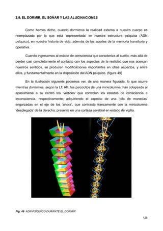 2.9. EL DORMIR, EL SOÑAR Y LAS ALUCINACIONES
Como hemos dicho, cuando dormimos la realidad externa a nuestro cuerpo es
reemplazada por la que está ‘representada’ en nuestra estructura psíquica (ADN
psíquico), en nuestra historia de vida; además de los aportes de la memoria transitoria y
operativa.
Cuando ingresamos al estado de consciencia que caracteriza al sueño, más allá de
perder casi completamente el contacto con los aspectos de la realidad que nos acercan
nuestros sentidos, se producen modificaciones importantes en otros aspectos, y entre
ellos, y fundamentalmente en la disposición del ADN psíquico. (figura 49)
En la ilustración siguiente podemos ver, de una manera figurada, lo que ocurre
mientras dormimos, según la LT. Allí, los psicocitos de una minicolumna, han colapsado al
aproximarse a su centro los ‘vértices’ que controlan los estados de consciencia e
inconsciencia, respectivamente; adquiriendo el aspecto de una ‘pila de monedas’
engarzadas en el eje de los ‘ahora’, que contrasta francamente con la minicolumna
‘desplegada’ de la derecha, presente en una corteza cerebral en estado de vigilia.
Fig. 49 ADN PSÍQUICO DURANTE EL DORMIR
125
 