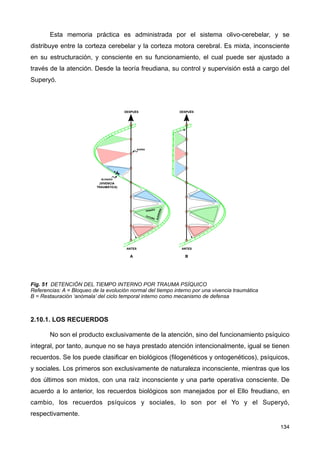 Esta memoria práctica es administrada por el sistema olivo-cerebelar, y se
distribuye entre la corteza cerebelar y la corteza motora cerebral. Es mixta, inconsciente
en su estructuración, y consciente en su funcionamiento, el cual puede ser ajustado a
través de la atención. Desde la teoría freudiana, su control y supervisión está a cargo del
Superyó.
Fig. 51 DETENCIÓN DEL TIEMPO INTERNO POR TRAUMA PSÍQUICO
Referencias: A = Bloqueo de la evolución normal del tiempo interno por una vivencia traumática
B = Restauración ‘anómala’ del ciclo temporal interno como mecanismo de defensa
2.10.1. LOS RECUERDOS
No son el producto exclusivamente de la atención, sino del funcionamiento psíquico
integral, por tanto, aunque no se haya prestado atención intencionalmente, igual se tienen
recuerdos. Se los puede clasificar en biológicos (filogenéticos y ontogenéticos), psíquicos,
y sociales. Los primeros son exclusivamente de naturaleza inconsciente, mientras que los
dos últimos son mixtos, con una raíz inconsciente y una parte operativa consciente. De
acuerdo a lo anterior, los recuerdos biológicos son manejados por el Ello freudiano, en
cambio, los recuerdos psíquicos y sociales, lo son por el Yo y el Superyó,
respectivamente.
134
 