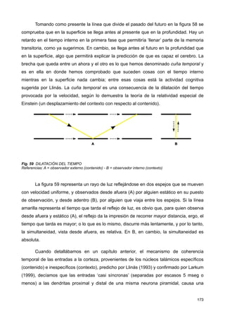 Tomando como presente la línea que divide el pasado del futuro en la figura 58 se
comprueba que en la superficie se llega antes al presente que en la profundidad. Hay un
retardo en el tiempo interno en la primera fase que permitiría ‘llenar’ parte de la memoria
transitoria, como ya sugerimos. En cambio, se llega antes al futuro en la profundidad que
en la superficie, algo que permitirá explicar la predicción de que es capaz el cerebro. La
brecha que queda entre un ahora y el otro es lo que hemos denominado cuña temporal y
es en ella en donde hemos comprobado que suceden cosas con el tiempo interno
mientras en la superficie nada cambia; entre esas cosas está la actividad cognitiva
sugerida por Llinás. La cuña temporal es una consecuencia de la dilatación del tiempo
provocada por la velocidad, según lo demuestra la teoría de la relatividad especial de
Einstein (un desplazamiento del contexto con respecto al contenido).
Fig. 59 DILATACIÓN DEL TIEMPO
Referencias: A = observador externo (contenido) - B = observador interno (contexto)
La figura 59 representa un rayo de luz reflejándose en dos espejos que se mueven
con velocidad uniforme, y observados desde afuera (A) por alguien estático en su puesto
de observación, y desde adentro (B), por alguien que viaja entre los espejos. Si la línea
amarilla representa el tiempo que tarda el reflejo de luz, es obvio que, para quien observa
desde afuera y estático (A), el reflejo da la impresión de recorrer mayor distancia, ergo, el
tiempo que tarda es mayor; o lo que es lo mismo, discurre más lentamente, y por lo tanto,
la simultaneidad, vista desde afuera, es relativa. En B, en cambio, la simultaneidad es
absoluta.
Cuando detallábamos en un capítulo anterior, el mecanismo de coherencia
temporal de las entradas a la corteza, provenientes de los núcleos talámicos específicos
(contenido) e inespecíficos (contexto), predicho por Llinás (1993) y confirmado por Larkum
(1999), decíamos que las entradas ‘casi síncronas’ (separadas por escasos 5 mseg o
menos) a las dendritas proximal y distal de una misma neurona piramidal, causa una
173
 