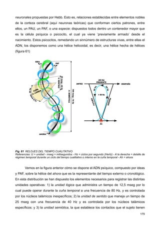 neuronales propuestas por Hebb. Esto es, relaciones establecidas entre elementos nobles
de la corteza cerebral (aquí neuronas teóricas) que conforman ciertos patrones, entre
ellos, un PAU, un PAF, o una especie; dispuestos todos dentro un contenedor mayor que
es la célula psíquica o psicocito, el cual ya viene ‘previamente armado’ desde el
nacimiento. Estos psicocitos, remedando un sinnúmero de estructuras vivas, entre ellas el
ADN, los disponemos como una hélice helicoidal, es decir, una hélice hecha de hélices
(figura 61)
Fig. 61 RELOJES DEL TIEMPO CUALITATIVO
Referencias: U = unidad - mseg = milisegundos - Hz = ciclos por segundo (Hertz) - A la derecha = detalle de
régimen temporal durante un ciclo del tiempo cualitativo o interno en la cuña temporal - Ah = ahora
Vemos en la figura anterior cómo se dispone el ADN psíquico, compuesto por ideas
y PAF, sobre la hélice del ahora que es la representante del tiempo externo o cronológico.
En esta distribución se han dispuesto los elementos necesarios para registrar las distintas
unidades operativas: 1) la unidad lógica que administra un tiempo de 12,5 mseg por lo
cual puede operar durante la cuña temporal a una frecuencia de 80 Hz, y es controlada
por los núcleos talámicos inespecíficos; 2) la unidad de sentido que maneja un tiempo de
25 mseg con una frecuencia de 40 Hz y es controlada por los núcleos talámicos
específicos; y 3) la unidad semiótica, la que establece los contactos que el sujeto tienen
179
 