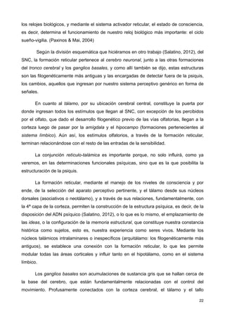 los relojes biológicos, y mediante el sistema activador reticular, el estado de consciencia,
es decir, determina el funcionamiento de nuestro reloj biológico más importante: el ciclo
sueño-vigilia. (Paxinos & Mai, 2004)
Según la división esquemática que hiciéramos en otro trabajo (Salatino, 2012), del
SNC, la formación reticular pertenece al cerebro neuronal, junto a las otras formaciones
del tronco cerebral y los ganglios basales, y como allí también se dijo, estas estructuras
son las filogenéticamente más antiguas y las encargadas de detectar fuera de la psiquis,
los cambios, aquellos que ingresan por nuestro sistema perceptivo genérico en forma de
señales.
En cuanto al tálamo, por su ubicación cerebral central, constituye la puerta por
donde ingresan todos los estímulos que llegan al SNC, con excepción de los percibidos
por el olfato, que dado el desarrollo filogenético previo de las vías olfatorias, llegan a la
corteza luego de pasar por la amígdala y el hipocampo (formaciones pertenecientes al
sistema límbico). Aún así, los estímulos olfatorios, a través de la formación reticular,
terminan relacionándose con el resto de las entradas de la sensibilidad.
La conjunción retículo-talámica es importante porque, no solo influirá, como ya
veremos, en las determinaciones funcionales psíquicas, sino que es la que posibilita la
estructuración de la psiquis.
La formación reticular, mediante el manejo de los niveles de consciencia y por
ende, de la selección del aparato perceptivo pertinente, y el tálamo desde sus núcleos
dorsales (asociativos o neotálamo), y a través de sus relaciones, fundamentalmente, con
la 4ª capa de la corteza, permiten la construcción de la estructura psíquica, es decir, de la
disposición del ADN psíquico (Salatino, 2012), o lo que es lo mismo, el emplazamiento de
las ideas, o la configuración de la memoria estructural, que constituye nuestra constancia
histórica como sujetos, esto es, nuestra experiencia como seres vivos. Mediante los
núcleos talámicos intralaminares o inespecíficos (arquitálamo: los filogenéticamente más
antiguos), se establece una conexión con la formación reticular, lo que les permite
modular todas las áreas corticales y influir tanto en el hipotálamo, como en el sistema
límbico.
Los ganglios basales son acumulaciones de sustancia gris que se hallan cerca de
la base del cerebro, que están fundamentalmente relacionadas con el control del
movimiento. Profusamente conectados con la corteza cerebral, el tálamo y el tallo
22
 