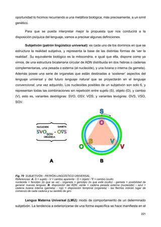 oportunidad lo hicimos recurriendo a una metáfora biológica; más precisamente, a un símil
genético.
Para que se pueda interpretar mejor la propuesta que nos conducirá a la
disposición psíquica del lenguaje, vamos a precisar algunas definiciones.
Subjetivón (patrón lingüístico universal): es cada uno de los dominios en que se
estructura la realidad subjetiva, y representa la base de las distintas formas de ‘ver la
realidad’. Su equivalente biológico es la mitocondria, e igual que ella, dispone como ya
vimos, de una estructura bicatenaria circular de ADN distribuida en dos hebras o cadenas
complementarias, una pesada o externa (el nucleoide), y una liviana o interna (la gameta).
Además posee una serie de organelas que están destinadas a ‘sostener’ aspectos del
lenguaje universal y del futuro lenguaje natural que se proyectarán en el lenguaje
convencional, una vez adquirido. Los nucleoides posibles de un subjetivón son solo 6, y
representan todas las combinaciones sin repetición entre sujeto (S), objeto (O), y cambio
(V), esto es, variantes dextrógiras: SVO, OSV, VOS; y variantes levógiras: OVS, VSO,
SOV.
Fig. 70 SUBJETIVÓN - PATRÓN LINGÜÍSTICO UNIVERSAL
Referencias: A. S = sujeto - V = cambio aparente - O = objeto - ∇ = cambio oculto
nucleoide = fenotipo (lo que se ve) - organela = genotipo (lo que está oculto) - gameta = posibilidad de
generar nuevas lenguas. B. disposición del ADN: verde = cadena pesada externa (nucleoide) - azul =
cadena liviana interna (gameta) - rojo = disposición temporal (organela) - las flechas indican lugar de
comienzo de cada cadena y su sentido de giro
Lengua Materna Universal (LMU): modo de comportamiento de un determinado
subjetivón. La tendencia a exteriorizarse de una forma específica se hace manifiesta en el
221
 