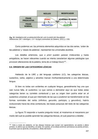 Fig. 72 DINÁMICA DE LA ADQUISICIÓN DE LAS CLASES DE PALABRAS
Referencias: DX = dextrógiro - LV = levógiro (extractado de Salatino, 2012, p. 235)
Como podemos ver, los primeros elementos adquiridos en las dos series, ‘orden de
las palabras’ y ‘clases de palabras’, representan los universales aludidos.
Los detalles anteriores, que a priori pueden parecer irrelevantes y hasta
antojadizos, se hacen relevantes cuando se intenta caracterizar algunas patologías que
provocan alteraciones de la palabra, tema de un trabajo futuro107.
6.6. ORIGEN DE LAS CATEGORÍAS LÉXICAS
Hablando de la LMC y del lenguaje cotidiano (LC), las categorías léxicas,
sustantivo, verbo, adjetivo y adverbio marcan morfosintácticamente a una determinada
lengua.
Si bien no todas son evidentes en cualquier lengua, generalmente hay una que
casi nunca falta, el sustantivo. Lo que vamos a demostrar aquí es que todas estas
categorías tienen su correlato contextural y que su origen bien podría estar en el
sustantivo universal, el que por intermedio de las que a posteriori se transformarán en las
formas nominales del verbo (infinitivo, gerundio, participio, y gerundivo), habría
evolucionado hacia las otras contexturas, las bases psíquicas del resto de las categorías
léxicas.
La figura 73 responde a nuestra pregunta inicial, al mostrarnos el mecanismo por
medio del cual es posible aprender las categorías léxicas, el cual pasamos a detallar.
227
107 Solo a modo de adelanto, en las afasias motoras que cursan con agramatismo, se pierde o altera
primero, lo último que se identifica, el verbo. En cambio, en la afasia anómica (amnésica) se pierde primero,
lo primero que se aprende, el sustantivo. (Nota del Autor)
 