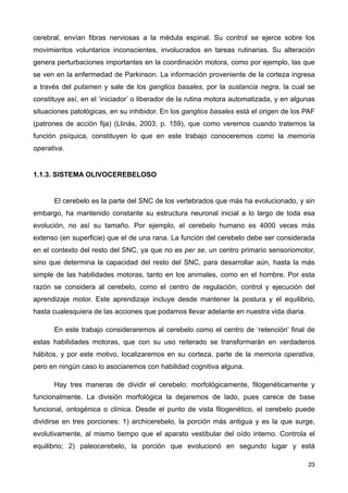 cerebral, envían fibras nerviosas a la médula espinal. Su control se ejerce sobre los
movimientos voluntarios inconscientes, involucrados en tareas rutinarias. Su alteración
genera perturbaciones importantes en la coordinación motora, como por ejemplo, las que
se ven en la enfermedad de Parkinson. La información proveniente de la corteza ingresa
a través del putamen y sale de los ganglios basales, por la sustancia negra, la cual se
constituye así, en el ‘iniciador’ o liberador de la rutina motora automatizada, y en algunas
situaciones patológicas, en su inhibidor. En los ganglios basales está el origen de los PAF
(patrones de acción fija) (Llinás, 2003, p. 159), que como veremos cuando tratemos la
función psíquica, constituyen lo que en este trabajo conoceremos como la memoria
operativa.
1.1.3. SISTEMA OLIVOCEREBELOSO
El cerebelo es la parte del SNC de los vertebrados que más ha evolucionado, y sin
embargo, ha mantenido constante su estructura neuronal inicial a lo largo de toda esa
evolución, no así su tamaño. Por ejemplo, el cerebelo humano es 4000 veces más
extenso (en superficie) que el de una rana. La función del cerebelo debe ser considerada
en el contexto del resto del SNC, ya que no es per se, un centro primario sensoriomotor,
sino que determina la capacidad del resto del SNC, para desarrollar aún, hasta la más
simple de las habilidades motoras, tanto en los animales, como en el hombre. Por esta
razón se considera al cerebelo, como el centro de regulación, control y ejecución del
aprendizaje motor. Este aprendizaje incluye desde mantener la postura y el equilibrio,
hasta cualesquiera de las acciones que podamos llevar adelante en nuestra vida diaria.
En este trabajo consideraremos al cerebelo como el centro de ‘retención’ final de
estas habilidades motoras, que con su uso reiterado se transformarán en verdaderos
hábitos, y por este motivo, localizaremos en su corteza, parte de la memoria operativa,
pero en ningún caso lo asociaremos con habilidad cognitiva alguna.
Hay tres maneras de dividir el cerebelo: morfológicamente, filogenéticamente y
funcionalmente. La división morfológica la dejaremos de lado, pues carece de base
funcional, ontogénica o clínica. Desde el punto de vista filogenético, el cerebelo puede
dividirse en tres porciones: 1) archicerebelo, la porción más antigua y es la que surge,
evolutivamente, al mismo tiempo que el aparato vestibular del oído interno. Controla el
equilibrio; 2) paleocerebelo, la porción que evolucionó en segundo lugar y está
23
 