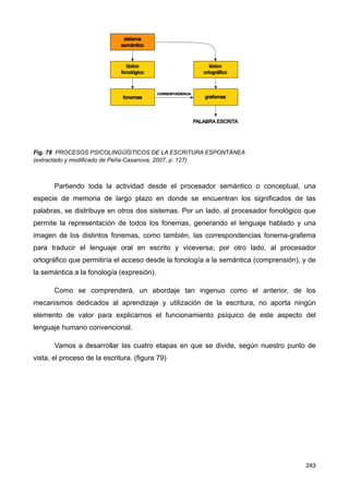 Fig. 78 PROCESOS PSICOLINGÜÍSTICOS DE LA ESCRITURA ESPONTÁNEA
(extractado y modificado de Peña-Casanova, 2007, p. 127)
Partiendo toda la actividad desde el procesador semántico o conceptual, una
especie de memoria de largo plazo en donde se encuentran los significados de las
palabras, se distribuye en otros dos sistemas. Por un lado, al procesador fonológico que
permite la representación de todos los fonemas, generando el lenguaje hablado y una
imagen de los distintos fonemas, como también, las correspondencias fonema-grafema
para traducir el lenguaje oral en escrito y viceversa; por otro lado, al procesador
ortográfico que permitiría el acceso desde la fonología a la semántica (comprensión), y de
la semántica a la fonología (expresión).
Como se comprenderá, un abordaje tan ingenuo como el anterior, de los
mecanismos dedicados al aprendizaje y utilización de la escritura, no aporta ningún
elemento de valor para explicarnos el funcionamiento psíquico de este aspecto del
lenguaje humano convencional.
Vamos a desarrollar las cuatro etapas en que se divide, según nuestro punto de
vista, el proceso de la escritura. (figura 79)
243
 