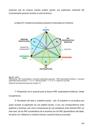 prejuicios que de ninguna manera pueden aportar una explicación coherente del
funcionamiento psíquico durante un acto de lectura.
La figura 81 muestra los procesos psíquicos involucrados en la lectura.
Fig. 81 LEER
Referencias: PAF visuokinéticos = acciones específicas para leer - PAF propioceptivo-kinéticos = acciones
específicas para la lectura - ① ② ③ = lectura privada - ① ② ③ ④ = lectura en voz alta
Resto de las referencias igual que la figura 77.
① Preparación de lo postural para la lectura (PAF propioceptivo-kinéticos), desde
la experiencia.
② Percepción del texto y empalme escrito - oral. El empalme no se produce por
poder acceder al significado de una palabra escrita, ni por una correspondencia entre
grafemas y fonemas, sino como consecuencia de una correlación entre distintos PAF; en
este caso, de los PAF quirokinéticos de la escritura con los PAF glosokinéticos del habla,
de hecho nos ‘hablamos’ a nosotros mismos, cuando la lectura es privada.
248
 