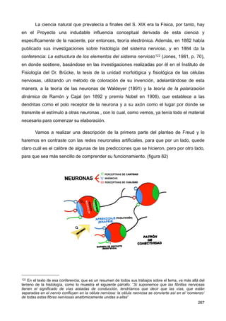 La ciencia natural que prevalecía a finales del S. XIX era la Física, por tanto, hay
en el Proyecto una indudable influencia conceptual derivada de esta ciencia y
específicamente de la naciente, por entonces, teoría electrónica. Además, en 1882 había
publicado sus investigaciones sobre histología del sistema nervioso, y en 1884 da la
conferencia: La estructura de los elementos del sistema nervioso122 (Jones, 1981, p. 70),
en donde sostiene, basándose en las investigaciones realizadas por él en el Instituto de
Fisiología del Dr. Brücke, la tesis de la unidad morfológica y fisiológica de las células
nerviosas, utilizando un método de coloración de su invención, adelantándose de esta
manera, a la teoría de las neuronas de Waldeyer (1891) y la teoría de la polarización
dinámica de Ramón y Cajal (en 1892 y premio Nobel en 1906), que establece a las
dendritas como el polo receptor de la neurona y a su axón como el lugar por donde se
transmite el estímulo a otras neuronas , con lo cual, como vemos, ya tenía todo el material
necesario para comenzar su elaboración.
Vamos a realizar una descripción de la primera parte del planteo de Freud y lo
haremos en contraste con las redes neuronales artificiales, para que por un lado, quede
claro cuál es el calibre de algunas de las predicciones que se hicieron, pero por otro lado,
para que sea más sencillo de comprender su funcionamiento. (figura 82)
267
122 En el texto de esa conferencia, que es un resumen de todos sus trabajos sobre el tema, va más allá del
terreno de la histología, como lo muestra el siguiente párrafo: “Si suponemos que las fibrillas nerviosas
tienen el significado de vías aisladas de conducción, tendríamos que decir que las vías, que están
separadas en el nervio confluyen en la célula nerviosa: la célula nerviosa se convierte así en el ‘comienzo’
de todas estas fibras nerviosas anatómicamente unidas a ellas”
 