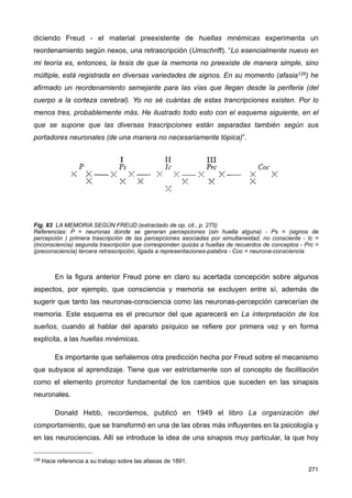 diciendo Freud - el material preexistente de huellas mnémicas experimenta un
reordenamiento según nexos, una retrascripción (Umschrift). “Lo esencialmente nuevo en
mi teoría es, entonces, la tesis de que la memoria no preexiste de manera simple, sino
múltiple, está registrada en diversas variedades de signos. En su momento (afasia126) he
afirmado un reordenamiento semejante para las vías que llegan desde la periferia (del
cuerpo a la corteza cerebral). Yo no sé cuántas de estas trancripciones existen. Por lo
menos tres, probablemente más. He ilustrado todo esto con el esquema siguiente, en el
que se supone que las diversas trascripciones están separadas también según sus
portadores neuronales (de una manera no necesariamente tópica)”.
Fig. 83 LA MEMORIA SEGÚN FREUD (extractado de op. cit., p. 275)
Referencias: P = neuronas donde se generan percepciones (sin huella alguna) - Ps = (signos de
percepción ) primera trascripción de las percepciones asociadas por simultaneidad, no consciente - Ic =
(inconsciencia) segunda trascripción que corresponden quizás a huellas de recuerdos de conceptos - Prc =
(preconsciencia) tercera retrascripción, ligada a representaciones-palabra - Coc = neurona-consciencia
En la figura anterior Freud pone en claro su acertada concepción sobre algunos
aspectos, por ejemplo, que consciencia y memoria se excluyen entre sí, además de
sugerir que tanto las neuronas-consciencia como las neuronas-percepción carecerían de
memoria. Este esquema es el precursor del que aparecerá en La interpretación de los
sueños, cuando al hablar del aparato psíquico se refiere por primera vez y en forma
explícita, a las huellas mnémicas.
Es importante que señalemos otra predicción hecha por Freud sobre el mecanismo
que subyace al aprendizaje. Tiene que ver estrictamente con el concepto de facilitación
como el elemento promotor fundamental de los cambios que suceden en las sinapsis
neuronales.
Donald Hebb, recordemos, publicó en 1949 el libro La organización del
comportamiento, que se transformó en una de las obras más influyentes en la psicología y
en las neurociencias. Allí se introduce la idea de una sinapsis muy particular, la que hoy
271
126 Hace referencia a su trabajo sobre las afasias de 1891.
 
