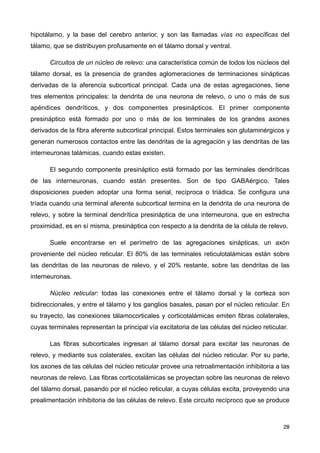 hipotálamo, y la base del cerebro anterior, y son las llamadas vías no específicas del
tálamo, que se distribuyen profusamente en el tálamo dorsal y ventral.
Circuitos de un núcleo de relevo: una característica común de todos los núcleos del
tálamo dorsal, es la presencia de grandes aglomeraciones de terminaciones sinápticas
derivadas de la aferencia subcortical principal. Cada una de estas agregaciones, tiene
tres elementos principales: la dendrita de una neurona de relevo, o uno o más de sus
apéndices dendríticos, y dos componentes presinápticos. El primer componente
presináptico está formado por uno o más de los terminales de los grandes axones
derivados de la fibra aferente subcortical principal. Estos terminales son glutaminérgicos y
generan numerosos contactos entre las dendritas de la agregación y las dendritas de las
interneuronas talámicas, cuando estas existen.
El segundo componente presináptico está formado por las terminales dendríticas
de las interneuronas, cuando están presentes. Son de tipo GABAérgico. Tales
disposiciones pueden adoptar una forma serial, recíproca o triádica. Se configura una
tríada cuando una terminal aferente subcortical termina en la dendrita de una neurona de
relevo, y sobre la terminal dendrítica presináptica de una interneurona, que en estrecha
proximidad, es en sí misma, presináptica con respecto a la dendrita de la célula de relevo.
Suele encontrarse en el perímetro de las agregaciones sinápticas, un axón
proveniente del núcleo reticular. El 80% de las terminales reticulotalámicas están sobre
las dendritas de las neuronas de relevo, y el 20% restante, sobre las dendritas de las
interneuronas.
Núcleo reticular: todas las conexiones entre el tálamo dorsal y la corteza son
bidireccionales, y entre el tálamo y los ganglios basales, pasan por el núcleo reticular. En
su trayecto, las conexiones tálamocorticales y corticotalámicas emiten fibras colaterales,
cuyas terminales representan la principal vía excitatoria de las células del núcleo reticular.
Las fibras subcorticales ingresan al tálamo dorsal para excitar las neuronas de
relevo, y mediante sus colaterales, excitan las células del núcleo reticular. Por su parte,
los axones de las células del núcleo reticular provee una retroalimentación inhibitoria a las
neuronas de relevo. Las fibras corticotalámicas se proyectan sobre las neuronas de relevo
del tálamo dorsal, pasando por el núcleo reticular, a cuyas células excita, proveyendo una
prealimentación inhibitoria de las células de relevo. Este circuito recíproco que se produce
28
 
