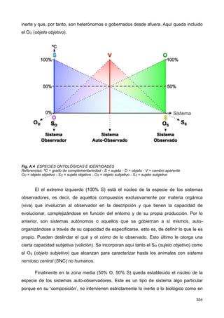 inerte y que, por tanto, son heterónomos o gobernados desde afuera. Aquí queda incluido
el OO (objeto objetivo).
Fig. A.4 ESPECIES ONTOLÓGICAS E IDENTIDADES
Referencias: ºC = grado de complementariedad - S = sujeto - O = objeto - V = cambio aparente
OO = objeto objetivo - SO = sujeto objetivo - OS = objeto subjetivo - SS = sujeto subjetivo
El el extremo izquierdo (100% S) está el núcleo de la especie de los sistemas
observadores, es decir, de aquellos compuestos exclusivamente por materia orgánica
(viva) que involucran al observador en la descripción y que tienen la capacidad de
evolucionar, complejizándose en función del entorno y de su propia producción. Por lo
anterior, son sistemas autónomos o aquellos que se gobiernan a sí mismos, auto-
organizándose a través de su capacidad de especificarse, esto es, de definir lo que le es
propio. Pueden deslindar el qué y el cómo de lo observado. Esto último le otorga una
cierta capacidad subjetiva (volición). Se incorporan aquí tanto el SO (sujeto objetivo) como
el OS (objeto subjetivo) que alcanzan para caracterizar hasta los animales con sistema
nervioso central (SNC) no humanos.
Finalmente en la zona media (50% O, 50% S) queda establecido el núcleo de la
especie de los sistemas auto-observadores. Este es un tipo de sistema algo particular
porque en su ‘composición’, no intervienen estrictamente lo inerte o lo biológico como en
334
 