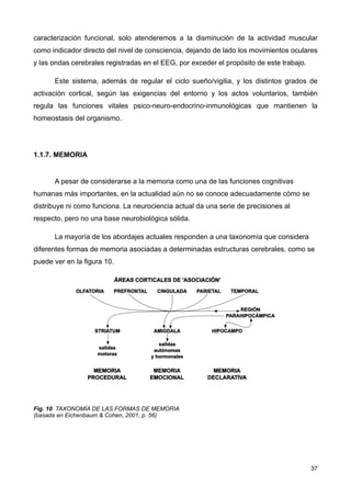 caracterización funcional, solo atenderemos a la disminución de la actividad muscular
como indicador directo del nivel de consciencia, dejando de lado los movimientos oculares
y las ondas cerebrales registradas en el EEG, por exceder el propósito de este trabajo.
Este sistema, además de regular el ciclo sueño/vigilia, y los distintos grados de
activación cortical, según las exigencias del entorno y los actos voluntarios, también
regula las funciones vitales psico-neuro-endocrino-inmunológicas que mantienen la
homeostasis del organismo.
1.1.7. MEMORIA
A pesar de considerarse a la memoria como una de las funciones cognitivas
humanas más importantes, en la actualidad aún no se conoce adecuadamente cómo se
distribuye ni como funciona. La neurociencia actual da una serie de precisiones al
respecto, pero no una base neurobiológica sólida.
La mayoría de los abordajes actuales responden a una taxonomía que considera
diferentes formas de memoria asociadas a determinadas estructuras cerebrales, como se
puede ver en la figura 10.
Fig. 10 TAXONOMÍA DE LAS FORMAS DE MEMORIA
(basada en Eichenbaum & Cohen, 2001, p. 56)
37
 