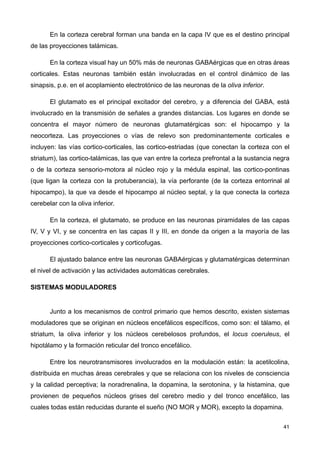 En la corteza cerebral forman una banda en la capa IV que es el destino principal
de las proyecciones talámicas.
En la corteza visual hay un 50% más de neuronas GABAérgicas que en otras áreas
corticales. Estas neuronas también están involucradas en el control dinámico de las
sinapsis, p.e. en el acoplamiento electrotónico de las neuronas de la oliva inferior.
El glutamato es el principal excitador del cerebro, y a diferencia del GABA, está
involucrado en la transmisión de señales a grandes distancias. Los lugares en donde se
concentra el mayor número de neuronas glutamatérgicas son: el hipocampo y la
neocorteza. Las proyecciones o vías de relevo son predominantemente corticales e
incluyen: las vías cortico-corticales, las cortico-estriadas (que conectan la corteza con el
striatum), las cortico-talámicas, las que van entre la corteza prefrontal a la sustancia negra
o de la corteza sensorio-motora al núcleo rojo y la médula espinal, las cortico-pontinas
(que ligan la corteza con la protuberancia), la vía perforante (de la corteza entorrinal al
hipocampo), la que va desde el hipocampo al núcleo septal, y la que conecta la corteza
cerebelar con la oliva inferior.
En la corteza, el glutamato, se produce en las neuronas piramidales de las capas
IV, V y VI, y se concentra en las capas II y III, en donde da origen a la mayoría de las
proyecciones cortico-corticales y corticofugas.
El ajustado balance entre las neuronas GABAérgicas y glutamatérgicas determinan
el nivel de activación y las actividades automáticas cerebrales.
SISTEMAS MODULADORES
Junto a los mecanismos de control primario que hemos descrito, existen sistemas
moduladores que se originan en núcleos encefálicos específicos, como son: el tálamo, el
striatum, la oliva inferior y los núcleos cerebelosos profundos, el locus coeruleus, el
hipotálamo y la formación reticular del tronco encefálico.
Entre los neurotransmisores involucrados en la modulación están: la acetilcolina,
distribuida en muchas áreas cerebrales y que se relaciona con los niveles de consciencia
y la calidad perceptiva; la noradrenalina, la dopamina, la serotonina, y la histamina, que
provienen de pequeños núcleos grises del cerebro medio y del tronco encefálico, las
cuales todas están reducidas durante el sueño (NO MOR y MOR), excepto la dopamina.
41
 