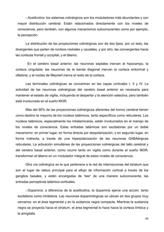 - Acetilcolina: los sistemas colinérgicos son los moduladores más abundantes y con
mayor distribución cerebral. Están relacionados directamente con los niveles de
consciencia, pero también, con algunos mecanismos subconscientes como por ejemplo,
la percepción.
La distribución de las proyecciones colinérgicas son de dos tipos, por un lado, las
divergentes que parten de núcleos rostrales y caudales, y por otro, las convergentes hacia
las cortezas frontal y occipital, y el tálamo.
En el cerebro basal anterior, las neuronas septales inervan el hipocampo, la
corteza cingulada; las neuronas de la banda diagonal inervan la corteza entorrinal y
olfatoria; y el núcleo de Meynert inerva el resto de la corteza.
Las terminales colinérgicas se concentran en las capas corticales I, II y IV. La
actividad de las neuronas colinérgicas del cerebro basal anterior es necesaria para
mantener el estado de vigilia, incluyendo el despertar y la atención selectiva, pero también
está involucrada en el sueño MOR.
Más del 90% de las proyecciones colinérgicas aferentes del tronco cerebral tienen
como destino la mayoría de los núcleos talámicos, tanto específicos como reticulares. Los
núcleos talámicos, especialmente los intralaminares, están involucrados en el manejo de
los niveles de consciencia. Estas entradas talámicas son excitatorias por un doble
mecanismo: en primer lugar, en forma directa por despolarización, y en segundo lugar, en
forma indirecta, a través de una hiperpolarización de las neuronas GABAérgicas
reticulares. La activación simultánea de las proyecciones colinérgicas del tallo cerebral y
del cerebro basal anterior, como ocurre tanto en vigilia como durante el sueño MOR,
transforman al tálamo en un modulador integral de estos niveles de consciencia.
Otra vía colinérgica es la que pertenece a la red de interneuronas del striatum que
son el lugar de relevo principal para el aflujo de información cortical a través de los
ganglios basales, y están encargadas de ‘leer’ de una manera subconsciente, las
entradas perceptivas talámico-corticales.
- Dopamina: a diferencia de la acetilcolina, la dopamina ejerce una acción, tanto
excitatoria como inhibitoria. Las neuronas dopaminérgicas se ubican en dos grupos muy
cercanos: en el área tegmental y en la sustancia negra compacta. Mientras la sustancia
negra se proyecta hacia el striatum, el área tegmental lo hace hacia la corteza límbica y
la amígdala.
42
 