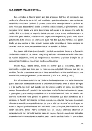 1.2.4. SISTEMA TÁLAMO-CORTICAL
Las entradas al tálamo pasan por dos procesos distintos: el controlador que
conduce la información sensorial, y el modulador, que determina cómo ese mensaje es
transmitido a la corteza cerebral. El primero puede llevar mensajes desde la periferia, así
como mensajes descendentes desde la misma corteza cerebral, y generalmente, estos
mensajes vienen desde una zona determinada del cuerpo o de alguna otra parte del
cerebro. Por el contrario, el segundo tipo de proceso, puede actuar localmente como el
controlador, pero además, carecer de una organización específica y por lo tanto, actuar
globalmente. Este enfoque es interesante pues nos dice que, los mensajes que pasan
desde un área cortical a otra, también pueden estar sometidos al mismo conjunto de
controles como las entradas que vienen desde los sentidos periféricos.
Las tareas talámicas de modulación y control son posibles debido a la formación
con la corteza cerebral, de una red integrada y recíproca, en donde están incluidos tanto
los núcleos específicos, como los inespecíficos o reticulares, y que son el origen de las
oscilaciones rítmicas que muestra un electroencefalograma.
Desde 1990, Rodolfo Llinás, insiste en afirmar que la consciencia, como la
locomoción, es algo que tiene que ver más con una actividad intrínseca, que con los
sentidos. Es más, propone que se trataría de un estado funcional interno símil onírico, que
es modulado, más que generado, por los sentidos. (Llinás et al., 1998, p. 1841)
Las afirmaciones anteriores de Llinás se fundamentaron en una serie de estudios
que se dedicaron a establecer cuál era la fundamental diferencia entre el estado de vigilia
y el de sueño. Es decir, qué sucedía con la función cerebral en estos, tan disímiles,
estados de consciencia? Lo anterior se sustenta en una hipótesis muy interesante, que es
la que sugiere que es tan importante detectar la actividad neuronal, como su ‘silencio’ o su
aparente inactividad. Para generar los patrones necesarios que dejen constancia de lo
percibido, la función del sistema nervioso necesita que algunas neuronas descarguen
mientras otras están en supuesto reposo, ya que el ‘silencio neuronal’ no implica per se,
ausencia de participación sino que está indicando, como contraparte, la existencia de este
patrón relacional. Llinás (1984) demostró que las células talámicas observan un
comportamiento muy particular cuando están en reposo. Es decir, cuando son activadas,
responden casi como cualquier otra célula, pero cuando son inactivadas, lo que se logra
64
 