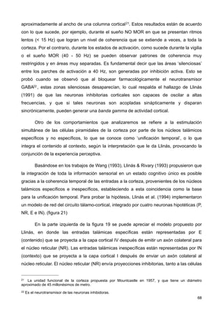 aproximadamente al ancho de una columna cortical21. Estos resultados están de acuerdo
con lo que sucede, por ejemplo, durante el sueño NO MOR en que se presentan ritmos
lentos (< 15 Hz) que logran un nivel de coherencia que se extiende a veces, a toda la
corteza. Por el contrario, durante los estados de activación, como sucede durante la vigilia
o el sueño MOR (40 - 50 Hz) se pueden observar patrones de coherencia muy
restringidos y en áreas muy separadas. Es fundamental decir que las áreas ‘silenciosas’
entre los parches de activación a 40 Hz, son generadas por inhibición activa. Esto se
probó cuando se observó que al bloquear farmacológicamente el neurotransmisor
GABA22 , estas zonas silenciosas desaparecían, lo cual respalda el hallazgo de Llinás
(1991) de que las neuronas inhibitorias corticales son capaces de oscilar a altas
frecuencias, y que si tales neuronas son acopladas sinápticamente y disparan
sincrónicamente, pueden generar una banda gamma de actividad cortical.
Otro de los comportamientos que analizaremos se refiere a la estimulación
simultánea de las células piramidales de la corteza por parte de los núcleos talámicos
específicos y no específicos, lo que se conoce como ‘unificación temporal’, o lo que
integra el contenido al contexto, según la interpretación que le da Llinás, provocando la
conjunción de la experiencia perceptiva.
Basándose en los trabajos de Wang (1993), Llinás & Rivary (1993) propusieron que
la integración de toda la información sensorial en un estado cognitivo único es posible
gracias a la coherencia temporal de las entradas a la corteza, provenientes de los núcleos
talámicos específicos e inespecíficos, estableciendo a esta coincidencia como la base
para la unificación temporal. Para probar la hipótesis, Llinás et al. (1994) implementaron
un modelo de red del circuito tálamo-cortical, integrado por cuatro neuronas hipotéticas (P,
NR, E e IN). (figura 21)
En la parte izquierda de la figura 19 se puede apreciar el modelo propuesto por
Llinás, en donde las entradas talámicas específicas están representadas por E
(contenido) que se proyecta a la capa cortical IV después de emitir un axón colateral para
el núcleo reticular (NR). Las entradas talámicas inespecíficas están representadas por IN
(contexto) que se proyecta a la capa cortical I después de enviar un axón colateral al
núcleo reticular. El núcleo reticular (NR) envía proyecciones inhibitorias, tanto a las células
68
21 La unidad funcional de la corteza propuesta por Mountcastle en 1957, y que tiene un diámetro
aproximado de 45 millonésimos de metro.
22 Es el neurotransmisor de las neuronas inhibidoras.
 