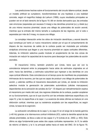 Las predicciones hechas sobre el funcionamiento del circuito tálamo-cortical, desde
un modelo artificial se cumplieron, transformándose de una hipótesis a una realidad
concreta, según el magnífico trabajo de Larkum (1999), cuyos resultados principales se
pueden ver en el lado derecho de la figura 19. Allí en donde demuestra que, las entradas
casi síncronas (separadas por escasos 5 mseg) a las dendritas proximal (e1) y distal (e2)
de una misma neurona piramidal, causa una ráfaga de potenciales de acción axonal,
mientras que la entrada del mismo tamaño a cualquiera de las regiones, por sí sola o
separadas por más de 5 mseg, no causa una ráfaga.
La compleja interacción entre los sitios de iniciación dendríticas y axonal descrito
aquí constituye por tanto un nuevo mecanismo celular por el que el comportamiento de
disparo de las neuronas de salida de la corteza puede ser modulada por entradas
sinápticas síncronas que llegan a una neurona piramidal en capas corticales diferentes.
Además, la inhibición selectiva puede modular el acoplamiento de las dos zonas de
iniciación sin reducir la capacidad de la neurona para descargar los potenciales de acción
axonales.
El mecanismo íntimo, también predicho por Llinás, tiene que ver con la
coincidencia temporal entre la propagación hacia atrás de estímulos originados en el
axón, hacia las dendritas, y estímulos subumbral que ingresan a las dendritas en una
capa cortical diferente. Esta coincidencia en el tiempo pone de manifiesto las propiedades
intrínsecas de la neurona, por las que es capaz de producir una ráfaga de potenciales de
acción, y además certifica el mecanismo descubierto por Llinás, en donde la inhibición
selectiva modula la generación de potenciales automáticos (células marcapasos)
dependientes de la activación de canales de Ca++. El disparo por retroalimentación explica
el mecanismo por medio del cual, dos regiones distantes de la corteza, pueden acoplarse
en su funcionamiento, que es lo que ocurriría con las entradas talámicas específicas a la
capa IV, y las no específicas a la capa I. La ausencia de estas últimas se traduce en una
disfunción cortical, mientras que su existencia acoplada con las específicas, es según
Llinás, la base de la cognición.
La activación simultánea de la capa I y la capa IV en el rango de la banda gamma
(≃40 Hz) gracias a la interneurona cortical inhibitoria (ICI), sobre la dendrita apical de las
células piramidales, se lleva a cabo en las capas V y VI (Llinás et al., 2002, p. 453). Esto
último es algo fundamental pues estas dos capas corticales representan, la VI, la salida
de retorno al tálamo; y la V, la principal salida hacia el resto del SNC. En la figura 19,
70
 