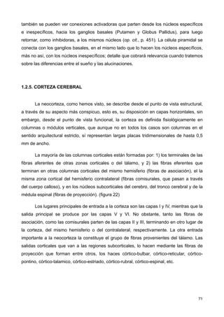 también se pueden ver conexiones activadoras que parten desde los núcleos específicos
e inespecíficos, hacia los ganglios basales (Putamen y Globus Pallidus), para luego
retornar, como inhibidoras, a los mismos núcleos (op. cit., p. 451). La célula piramidal se
conecta con los ganglios basales, en el mismo lado que lo hacen los núcleos específicos,
más no así, con los núcleos inespecíficos; detalle que cobrará relevancia cuando tratemos
sobre las diferencias entre el sueño y las alucinaciones.
1.2.5. CORTEZA CEREBRAL
La neocorteza, como hemos visto, se describe desde el punto de vista estructural,
a través de su aspecto más conspicuo, esto es, su disposición en capas horizontales, sin
embargo, desde el punto de vista funcional, la corteza es definida fisiológicamente en
columnas o módulos verticales, que aunque no en todos los casos son columnas en el
sentido arquitectural estricto, sí representan largas placas tridimensionales de hasta 0,5
mm de ancho.
La mayoría de las columnas corticales están formadas por: 1) los terminales de las
fibras aferentes de otras zonas corticales o del tálamo, y 2) las fibras eferentes que
terminan en otras columnas corticales del mismo hemisferio (fibras de asociación), el la
misma zona cortical del hemisferio contralateral (fibras comisurales, que pasan a través
del cuerpo calloso), y en los núcleos subcorticales del cerebro, del tronco cerebral y de la
médula espinal (fibras de proyección). (figura 22)
Los lugares principales de entrada a la corteza son las capas I y IV, mientras que la
salida principal se produce por las capas V y VI. No obstante, tanto las fibras de
asociación, como las comisurales parten de las capas II y III, terminando en otro lugar de
la corteza, del mismo hemisferio o del contralateral, respectivamente. La otra entrada
importante a la neocorteza la constituye el grupo de fibras provenientes del tálamo. Las
salidas corticales que van a las regiones subcorticales, lo hacen mediante las fibras de
proyección que forman entre otros, los haces córtico-bulbar, córtico-reticular, córtico-
pontino, córtico-talamico, córtico-estriado, córtico-rubral, córtico-espinal, etc.
71
 