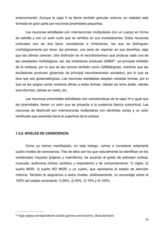 anteriormente). Aunque la capa II se llama también granular externa, en realidad está
formada en gran parte por neuronas piramidales pequeñas.
Las neuronas estrelladas son interneuronas multipolares con un cuerpo en forma
de estrella y con un axón corto que se ramifica en sus inmediaciones. Estas neuronas
corticales son de dos tipos: excitadoras e inhibidoras, las que se distinguen
morfológicamente por tener, las primeras, una serie de ‘espinas’ en sus dendritas, algo
que las últimas carecen; otra distinción es el neurotransmisor que produce cada una de
las variedades morfológicas, así, las inhibidoras producen GABA23 (el principal inhibidor
de la corteza), por lo que se las conoce también como GABAérgicas, mientras que las
excitadoras producen glutamato (el principal neurotransmisor excitador), por lo que se
dice que son glutamatérgicas. Las neuronas estrelladas adoptan variadas formas, por lo
que se les asigna varios nombres afines a estas formas: células de ramo doble, células
aracniformes, células en cesta, etc.
Las neuronas piramidales estrelladas son características de la capa VI e igual que
las piramidales, tienen un axón que se proyecta a la sustancia blanca subcortical. Las
neuronas de Martinotti son interneuronas multipolares con dendritas cortas y un axón
ramificado que asciende hacia la superficie de la corteza.
1.2.6. NIVELES DE CONSCIENCIA
Como ya hemos manifestado, en este trabajo, vamos a considerar solamente
cuatro niveles de consciencia. Tres de ellos son los que naturalmente se identifican en los
vertebrados mayores (pájaros y mamíferos), de acuerdo al grado de actividad cortical,
muscular, autónoma (ritmos cardíaco y respiratorio) y de comportamiento: 1) vigilia, 2)
sueño MOR, 3) sueño NO MOR; y un cuarto, que representa el estado de atención
máxima. También le asignamos a estos niveles, arbitrariamente, un porcentaje sobre el
100% del estado consciente: 1) 80%, 2) 50%, 3) 10% y 4) 100%.
73
23 Sigla inglesa correspondiente al ácido gamma-amino-butírico. (Nota del Autor)
 