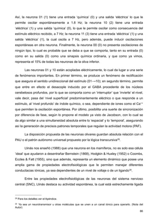 Así, la neurona 01 (1) tiene una entrada ‘química’ (0) y una salida ‘eléctrica’ lo que le
permite oscilar espontáneamente a 1.8 Hz; la neurona 10 (2) tiene una entrada
‘eléctrica’ (1) y una salida ‘química’ (0), lo que le permite oscilar como consecuencia del
estímulo eléctrico recibido, a 7 Hz; la neurona 11 (3) tiene una entrada ‘eléctrica’ (1) y una
salida ‘eléctrica’ (1), la cual oscila a 7 Hz, pero además, puede inducir oscilaciones
espontáneas en otra neurona. Finalmente, la neurona 00 (0) no presenta oscilaciones de
ningún tipo, lo cual es probable que se deba a que se comporta, tanto en su entrada (0)
como en su salida (0) como una sinapsis química ordinaria, y que como ya vimos,
representa el 15% de todas las neuronas de la oliva inferior.
Las neuronas 01 y 10 están acopladas eléctricamente, lo cual da lugar a una serie
de fenómenos importantes. En primer término, se produce un fenómeno de rectificación
que asegura el sentido unidireccional del estímulo (01⟶10); en segundo término, permite
que entre en efecto el desacople inducido por el GABA procedente de los núcleos
cerebelosos profundos, por lo que se comporta como un ‘interruptor’ que ‘invierte’ el nivel,
vale decir, pasa del ‘nivel superficial’ predominantemente eléctrico o que responde a un
estímulo, al ‘nivel profundo’ de índole químico, o sea, dependiente de iones como el Ca++
que permiten la oscilación espontánea. Por último, posibilita una suerte de sincronización
por diferencia de fase, según lo propone el modelo ya visto de Jacobson, con lo cual se
da algo similar a una simultaneidad absoluta entre lo ‘espacial’ y lo ‘temporal’, asegurando
así la generación de precisos patrones temporales que regulan la actividad motora (PAF).
La disposición propuesta de las neuronas olivares guardan absoluta relación con el
PAU o el patrón autónomo universal propuesto por la lógica transcursiva29.
Llinás nos enseñó (1988) que una neurona en los mamíferos, no es solo esa célula
‘ideal’ que ayudaron a desentrañar Bernstein (1868), Hodgkin & Huxley (1952) o Coombs,
Eccles & Fatt (1955), sino que además, representa un elemento dinámico que posee una
amplia gama de propiedades electrofisiológicas que le permiten manejar diferentes
conductacias iónicas, ya sea dependientes de un nivel de voltaje o de un ligando30.
Entre las propiedades electrofisiológicas de las neuronas del sistema nervioso
central (SNC), Llinás destaca su actividad espontánea, la cual está estrechamente ligada
86
29 Para los detalles ver el Apéndice.
30 Ya sea un neurotransmisor u otras moléculas que se unen a un canal iónico para operarlo. (Nota del
Autor)
 