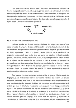Hay tres aspectos que siempre están ligados en una estructura disipativa: la
función (que puede estar representada, p. e., por las reacciones químicas), la estructura
espacio-temporal que resulta de las inestabilidades, y las fluctuaciones, que disparan las
inestabilidades. La interrelación de estos tres aspectos puede explicar los fenómenos que
generalmente permanecen fuera del alcance del observador, como lo es por ejemplo, el
lograr ‘orden’ a través de fluctuaciones. (figura 28)
Fig. 28 ESTRUCTURA DISIPATIVA (Prigogine, 1977)
La figura anterior nos dice del establecimiento de dos ‘ciclos’, uno ‘externo’ que
oscila alrededor de un punto de desequilibrio estable (cercano al equilibrio) producto de
un movimiento de aproximación asintótica (retroalimentación negativa) que nos muestra
un orden determinado; y otro ciclo ‘interno’, oculto, producto de un movimiento de
dispersión exponencial, que oscila lejos del punto de equilibrio (retroalimentación
positiva), provocado por una perturbación brusca, que puede producir un estado caótico
en el sistema que se resuelve de dos maneras; o bien se adapta a la perturbación
provocada, generando una estructura disipativa que permita tramitar el desorden y lograr
‘emerger’ hacia un estado de orden más complejo, aproximándose a un nuevo punto de
equilibrio; o bien, el sistema ‘muere’ (se detiene) por haber encontrado el equilibrio
estático absoluto, dejando de oscilar o fluctuar.
Todo sistema vivo tiene un comportamiento similar al descrito (el gran aporte de
Prigogine), y las fluctuaciones escriben su ‘historia evolutiva’, su devenir. Las células
nerviosas, como todo tejido vivo, se ven afectadas también por este comportamiento, el
cual permite explicar los hallazgos de Llinás con respecto a su régimen oscilatorio; y el
análisis que hace de él la lógica transcursiva, como se puede ver en el esquema (a) de la
figura 27. Allí quedan establecidos dos circuitos oscilatorios, uno superficial (1)(2)(3) que
oscila cercano al equilibrio y representa la ‘apariencia’ o el ‘contenido’ propuesto por
Llinás y que en el sistema tálamo-cortical es manejado por los núcleos específicos; y un
circuito oscilador profundo (5)(6)(7) que oscila lejos del equilibrio y representa el
‘continente’ o el ‘contexto’ de Llinás, que en el sistema tálamo-cortical está manejado por
89
 