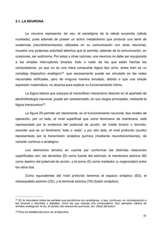 2.1. LA NEURONA
La neurona representa, tal vez, el paradigma de la célula eucariota (célula
nucleada), pues además de poseer un activo metabolismo que produce una serie de
sustancias (neurotransmisores) utilizadas en su comunicación con otras neuronas,
muestra una poderosa actividad eléctrica que le permite, además de la comunicación, en
ocasiones, ser autónoma. Por estas y otras razones, una neurona no debe ser equiparada
a los simples interruptores binarios ‘todo o nada’ de los que están hechas las
computadoras, ya que no es una mera compuerta lógica tipo si/no; antes bien es un
complejo dispositivo analógico34 que escasamente puede ser simulado en las redes
neuronales artificiales, pero de ninguna manera emulado, debido a que una simple
expresión matemática, no alcanza para explicar su funcionamiento íntimo.
La lógica básica que subyace al maravilloso mecanismo descrito en el apartado de
electrofisiología neuronal, puede ser caracterizado, en sus rasgos principales, mediante la
lógica transcursiva35.
La figura 29 permite ver claramente, en el funcionamiento neuronal, dos niveles de
operación, por un lado, el nivel superficial que como fenómeno de membrana, está
representado por la evidencia del potencial de acción, de índole binario o discreto;
recordar que es un fenómeno ‘todo o nada’; y por otro lado, el nivel profundo (oculto)
representado por la transmisión sináptica química (mediante neurotransmisores), de
carácter continuo o analógico.
Los elementos tenidos en cuenta par conformar las distintas relaciones
superficiales son: las dendritas (D) como fuente del estímulo, la membrana axónica (M)
como destino del potencial de acción, y el soma (S) como mediador (u organizador) entre
los otros dos.
Como equivalentes del nivel profundo tenemos el espacio sináptico (ES), el
citoesqueleto axónico (CE), y la terminal axónica (TA) (botón sináptico).
91
34 En la naturaleza todas las señales que percibimos son analógicas, o sea, continuas, en contraposición a
las binarias o discretas o digitales, como las que maneja una computadora. Son ejemplos válidos de
señales analógicas: la luz, el sonido, las reacciones químicas, etc. (Nota del Autor)
35 Para los detalles técnicos ver el Apéndice.
 
