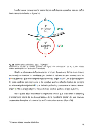 La clave para comprender la trascendencia del sistema perceptivo está en definir
funcionalmente la frontera. (figura 33)
Fig. 33 DISPOSICIÓN FUNCIONAL DE LA FRONTERA
Referencias: S = sujeto - V = cambio aparente - O = objeto - ∇ = cambio oculto - 00, 01, 10, 11 = códigos
binarios respectivos - DX = dextrógiro - LV = levógiro
Según se observa en la figura anterior, el origen de cada uno de los ciclos, interno
y externo (que muestran un sentido de giro contrario), radica es su polo opuesto, esto es,
SVO (superficial) que define el polo objetivo tiene su origen S (0137), en el polo subjetivo.
En otras palabras, esto representa lo de subjetivo que tiene el polo objetivo. Lo contrario
sucede en el polo subjetivo O∇S que define lo profundo y propiamente subjetivo, tiene su
origen O (10) en el polo objetivo, indicando lo de objetivo que tiene el polo subjetivo.
No se puede dejar de destacar la importante similitud que existe entre lo descrito y
el mecanismo íntimo de la despolarización de la membrana celular de una neurona,
responsable de originar el potencial de acción o impulso nervioso. (figura 34)
98
37 Para más detalles, consultar el Apéndice.
 