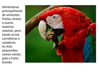 Aliméntanse
principalmente
de sementes,
froitos, brotes
e outras
materias
vexetais, pero
tamén as hai
carroñeiras e
cazadoras.
As máis
pequeniñas
comen néctar,
pole e froita
branda.
 