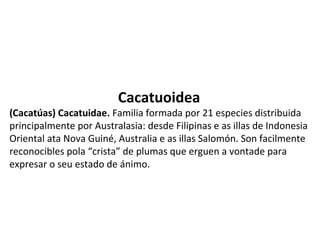 Cacatuoidea
(Cacatúas) Cacatuidae. Familia formada por 21 especies distribuida
principalmente por Australasia: desde Filipinas e as illas de Indonesia
Oriental ata Nova Guiné, Australia e as illas Salomón. Son facilmente
reconocibles pola “crista” de plumas que erguen a vontade para
expresar o seu estado de ánimo.
 