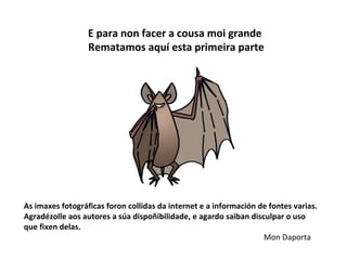 As imaxes fotográficas foron collidas da internet e a información de fontes varias.
Agradézolle aos autores a súa dispoñibilidade, e agardo saiban disculpar o uso
que fixen delas.
Mon Daporta
E para non facer a cousa moi grande
Rematamos aquí esta primeira parte
 