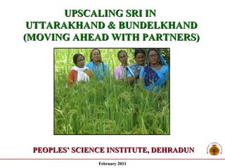 UPSCALING SRI IN  UTTARAKHAND & BUNDELKHAND  (MOVING AHEAD WITH PARTNERS)  - A Progress Report - PEOPLES’ SCIENCE INSTITUTE, DEHRADUN February 2011 