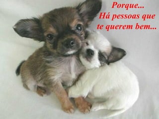 Porque... Há pessoas que  te querem bem...  